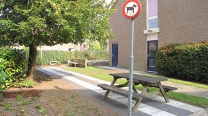 Gemeenschappelijk speelterrein met 'loper' t.b.v. 'wedstrijden'