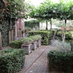 klinkers taxus haag plantkuipen rivius tuinontwerp (2)